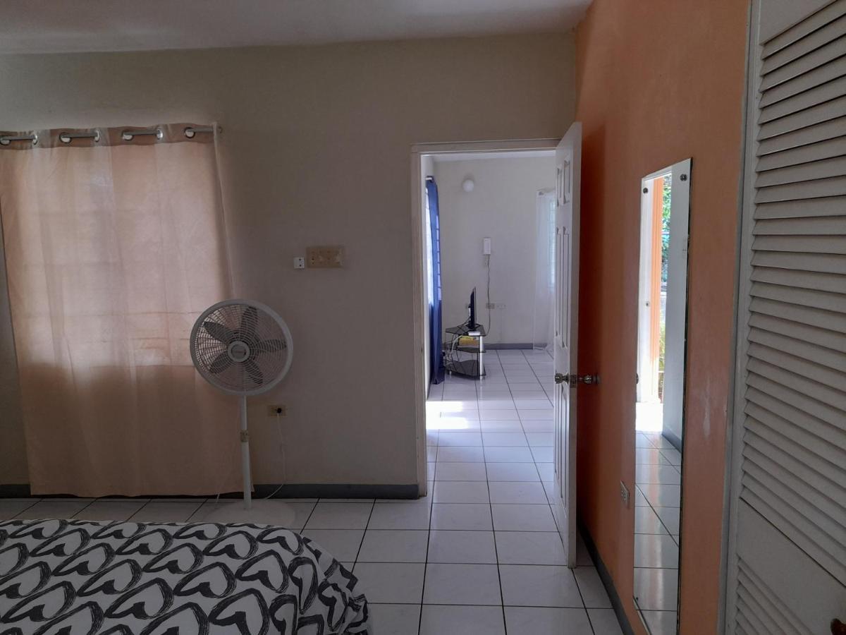 Camelia Rooms Кінгстон Екстер'єр фото